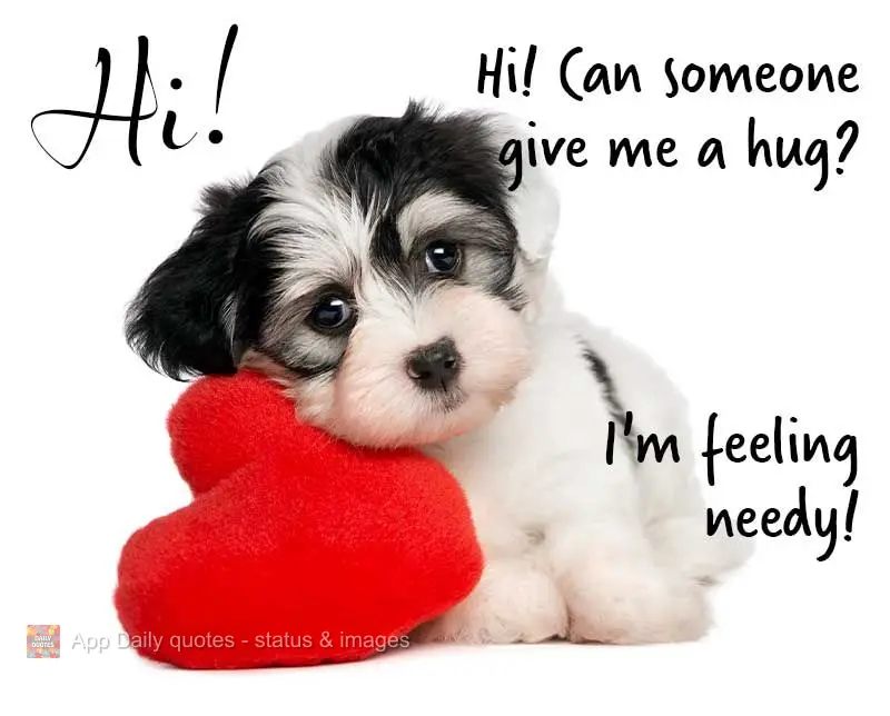 Hi! Can someone give me a hug? I need affection!