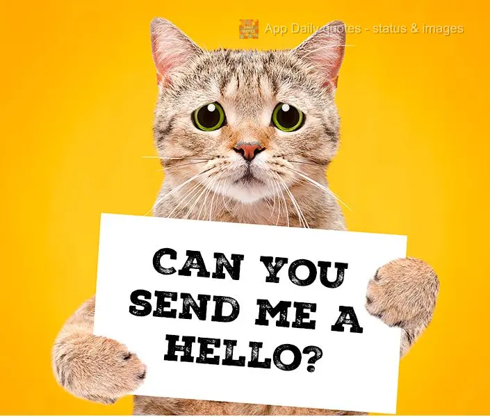 Can you send me a hello?