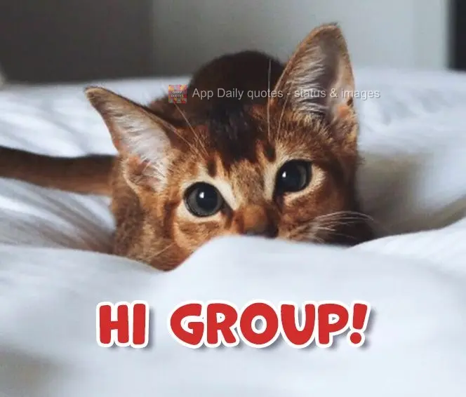 Hi group!
