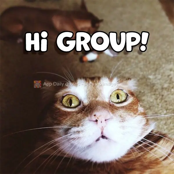 Hi Group!