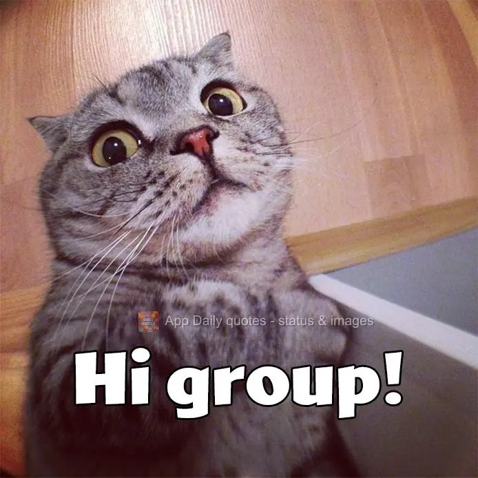 Hi group!