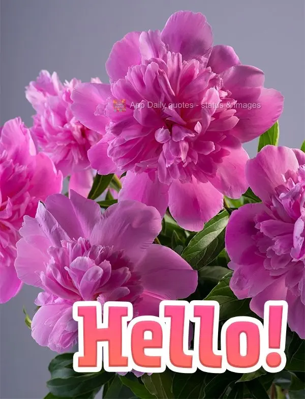 Hello!
