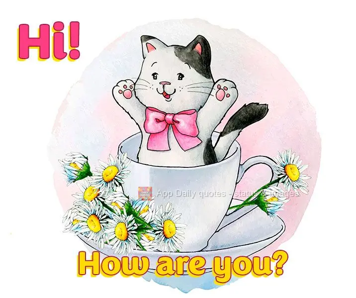 Hi! How are you?