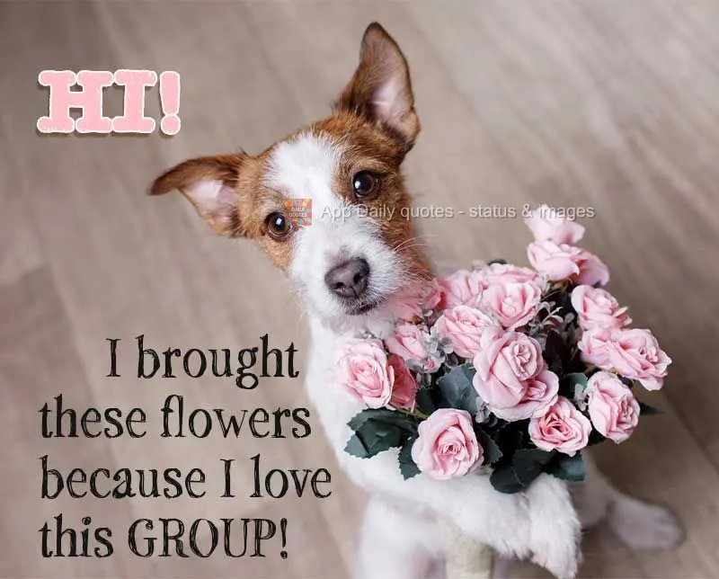Hi! I brought flowers because I love this Group!