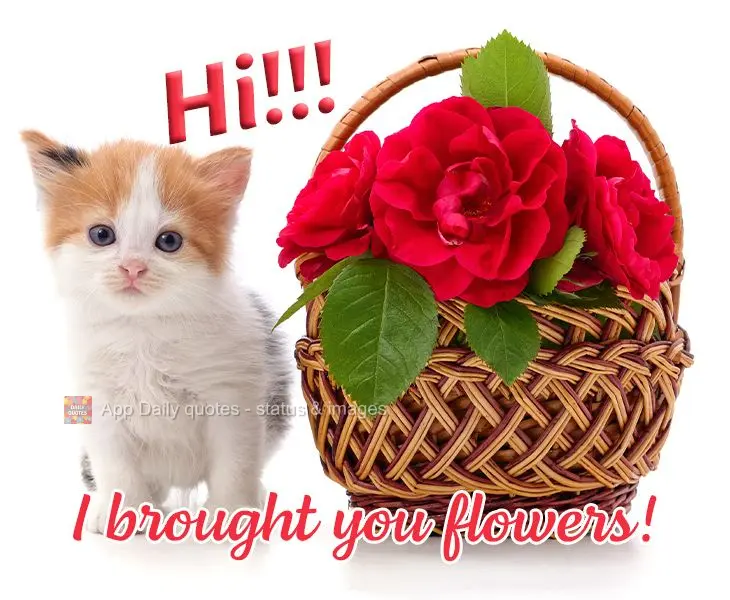 Hi!!! I brought you flowers!