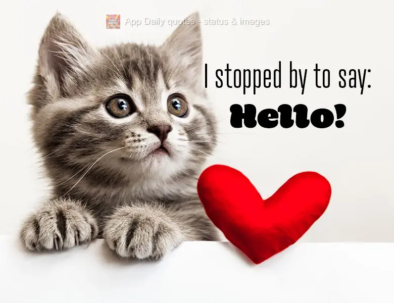 I stopped by to say: Hello!