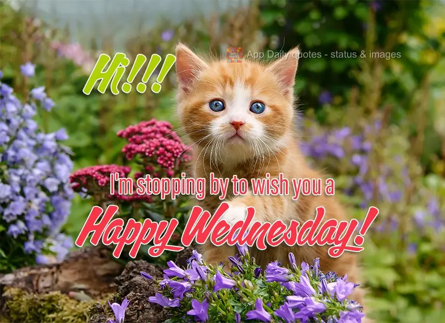 Hi! I'm stopping by to wish you a Happy Wednesday!