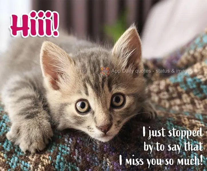 Hiii! I just stopped by to say that I miss you so much!