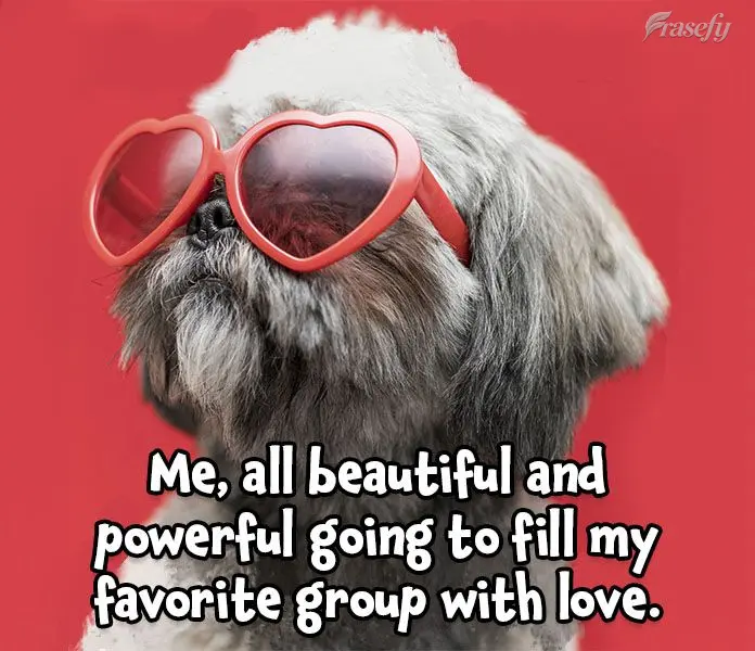 Eu toda linda e poderosa indo encher de amor o meu grupo favorito.