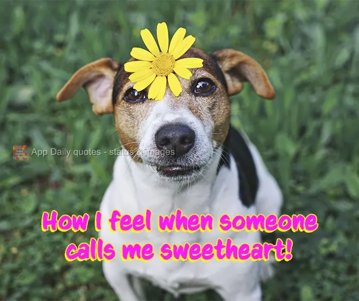 How I feel when someone calls me sweetheart!