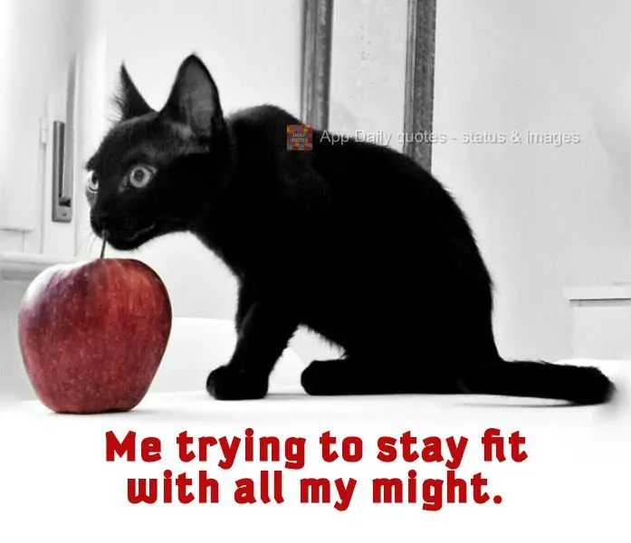 Me trying to stay fit with all my might.
