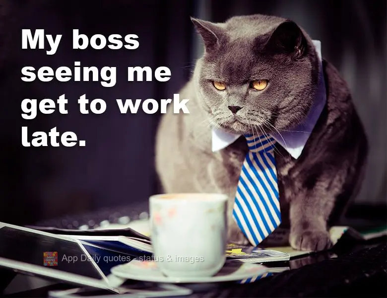 My boss seeing me get to work late.