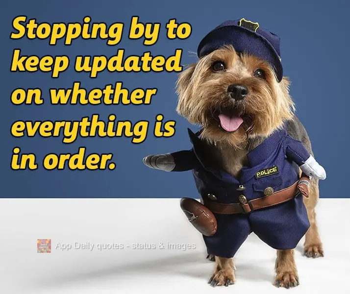 Stopping by to keep updated on whether everything is in order.