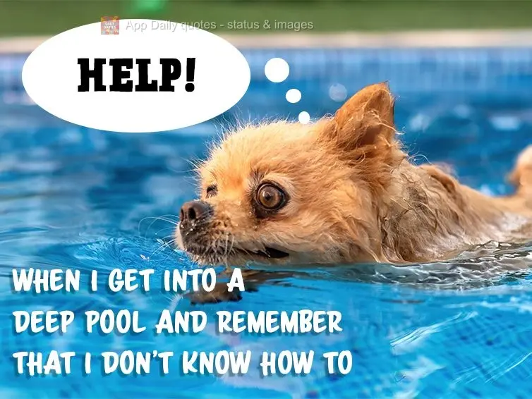 When I get into a deep pool and remember that I don't know how to swim. Help!