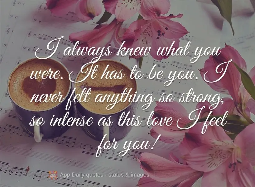 I always knew that it was you. It had to be you. I have never felt anything so strong, so intense as this love I feel for you!