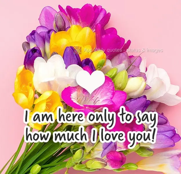 I am here only to say how much I love you!