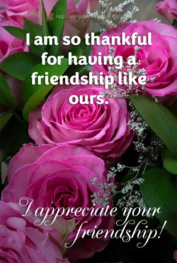 I am so thankful to have a friendship like ours. I appreciate your friendship!
