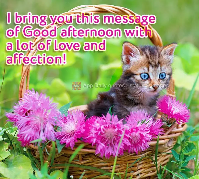 I bring you this message of Good afternoon with a lot of love and affection!