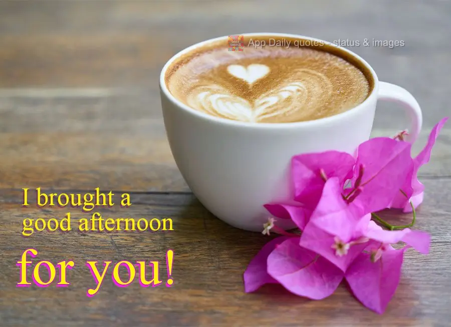 I brought a good afternoon for you!