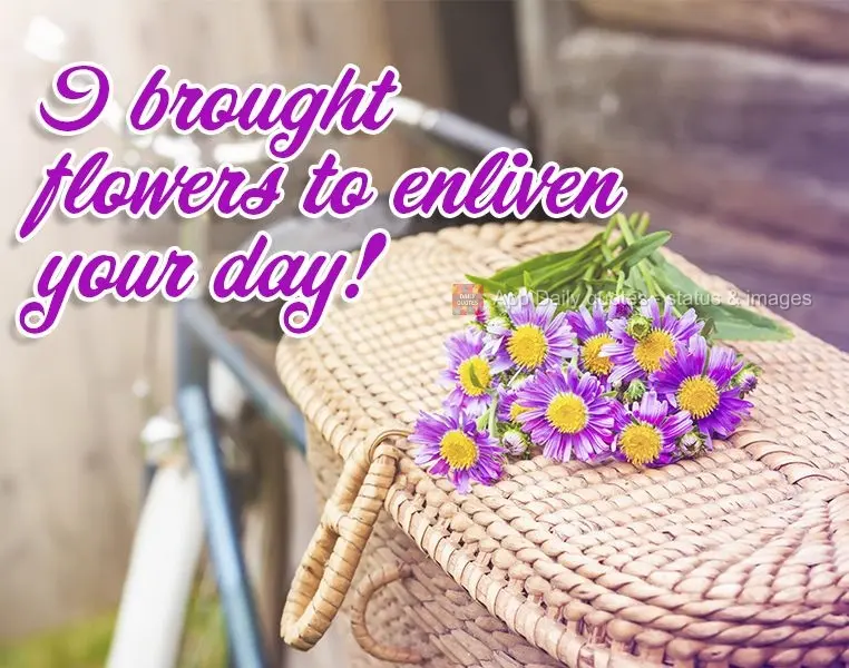 I brought flowers to enliven your day!
