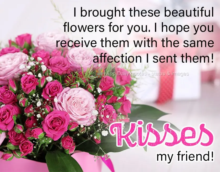I brought these beautiful flowers for you. I hope you receive them with the same affection I sent them! Kisses, friend!