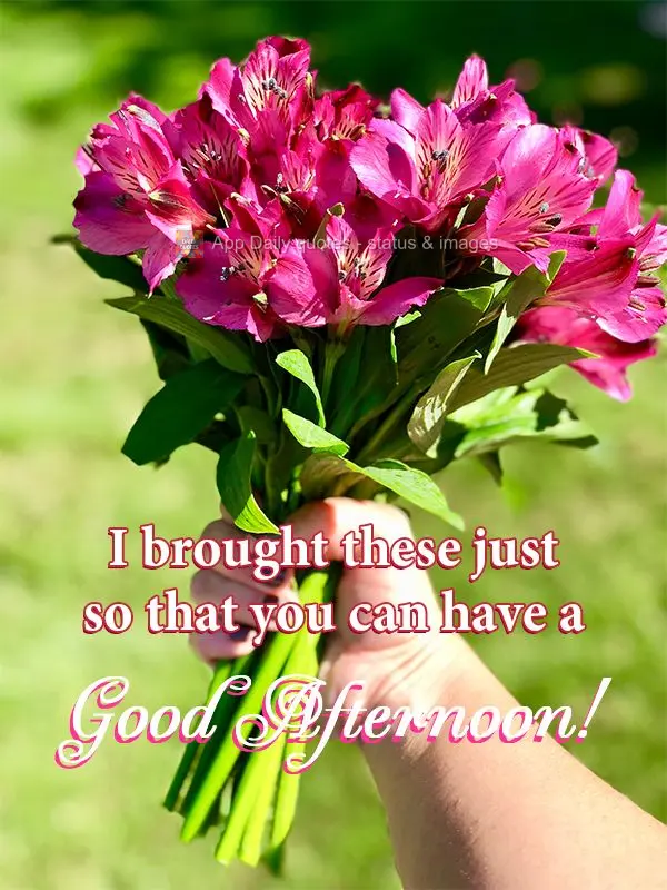 I brought these just so that you can have a Good Afternoon!