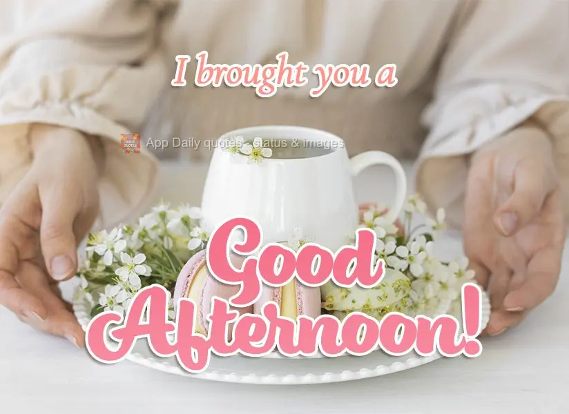 I brought you a Good Afternoon!