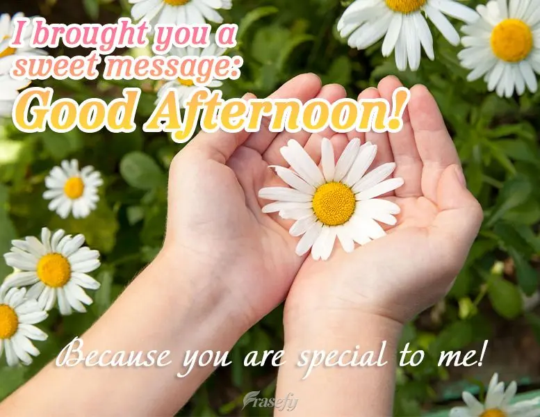 I brought you a sweet message: Good Afternoon! Because you are special to me!