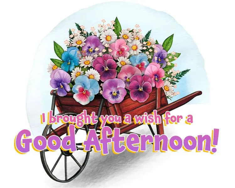 I brought you a wish for a good afternoon!