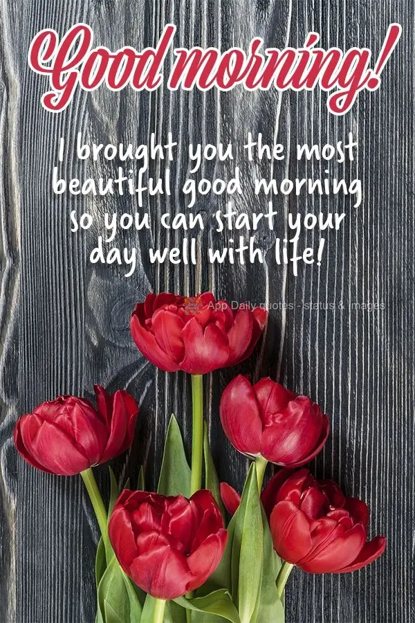 I brought you the most beautiful good morning so you can start your day off right! Good morning!