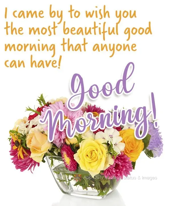 I came by to wish you the most beautiful good morning that anyone can receive! Good morning!