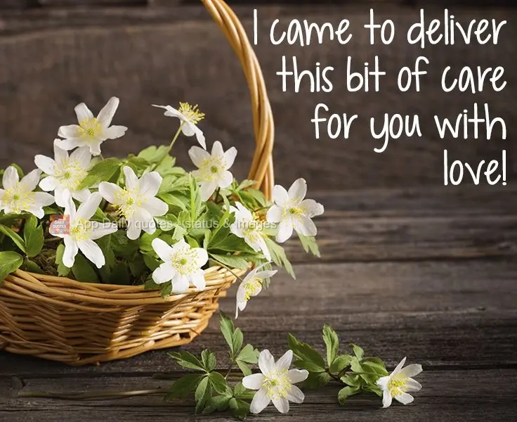I came to deliver this gesture of affection for you with love!