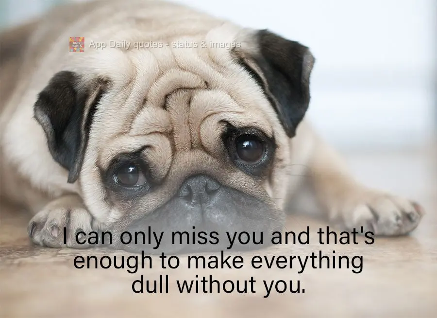 I can only miss you and that's enough to make everything dull without you.