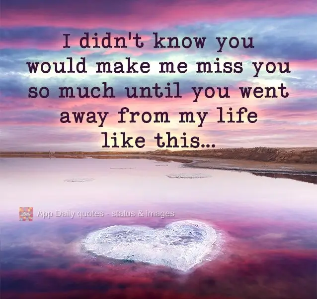 I didn't know you would make me miss you so much until you disappeared from my life like this...