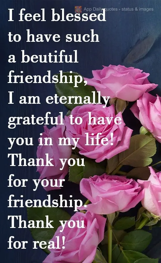 I feel blessed to have such a beautiful friendship. I am eternally grateful to have you in my life! Thank you for your friendship. Thank you for real!