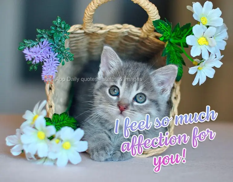 I feel so much affection for you!