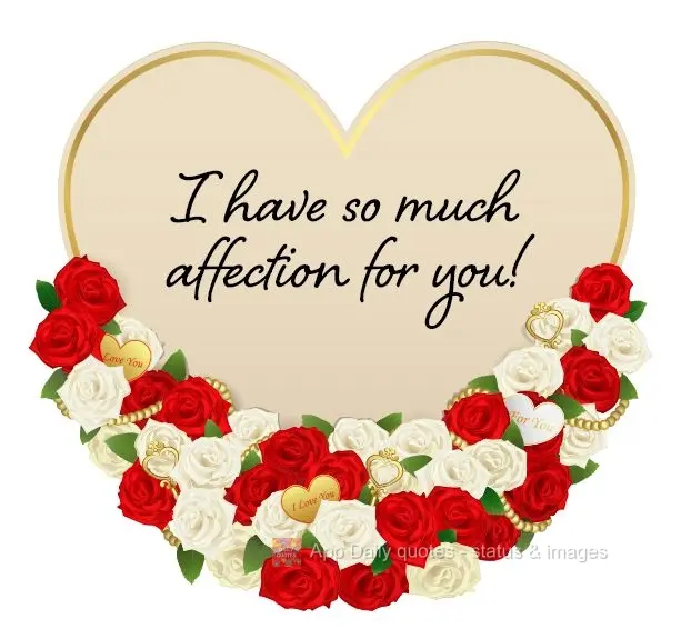 I have so much affection for you!
