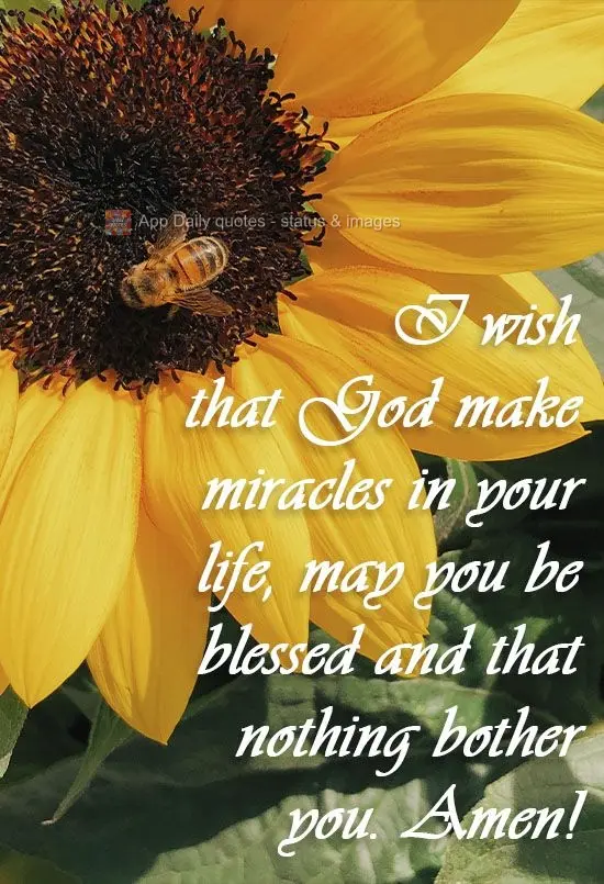 I hope that God makes miracles in your life. May you be blessed, and may nothing bother you. Amen!