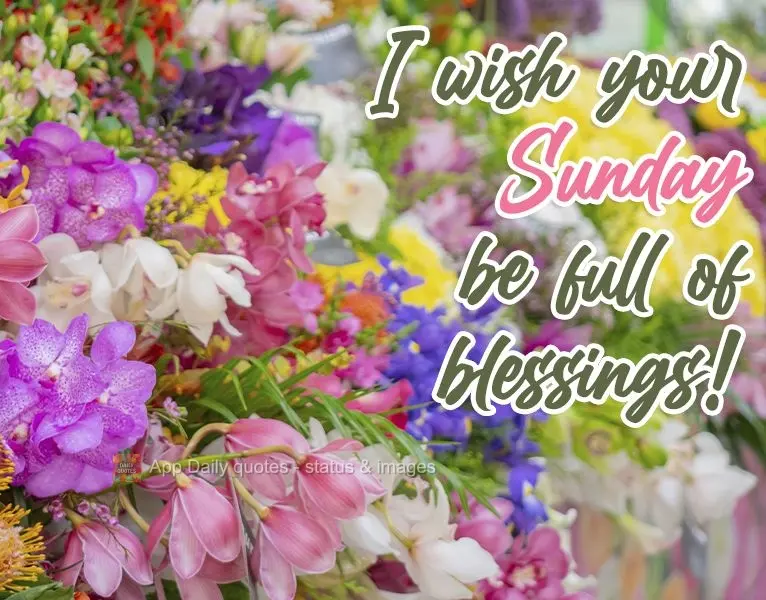 I hope your Sunday is full of blessings!