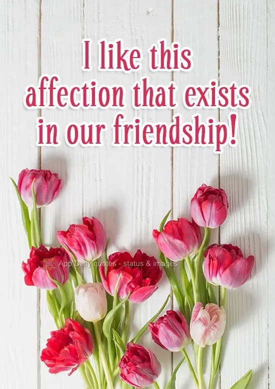 I like the affection that exists in our friendship!
