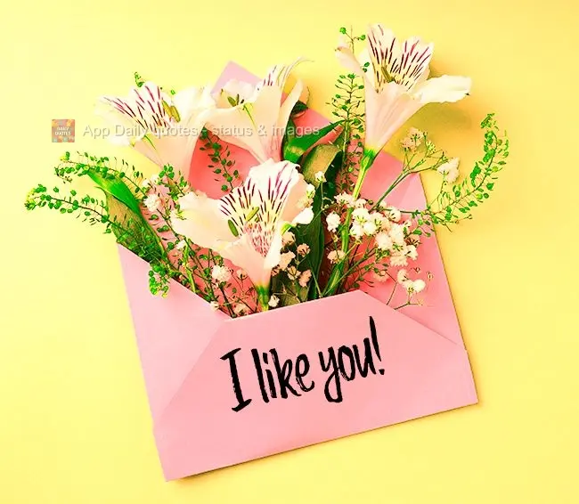 I like you!