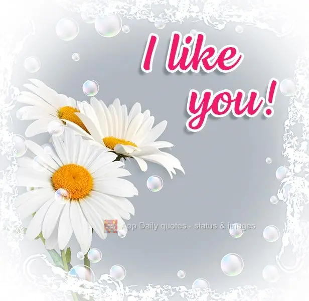 I like you!