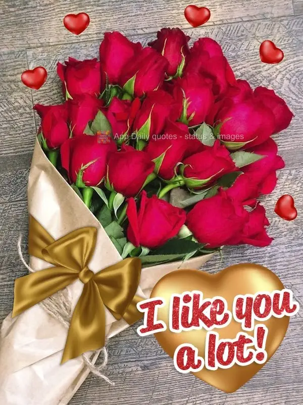 I like you a lot!