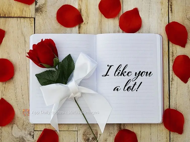 I like you a lot!