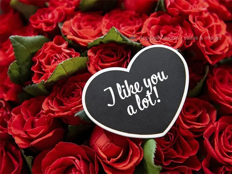I like you a lot!