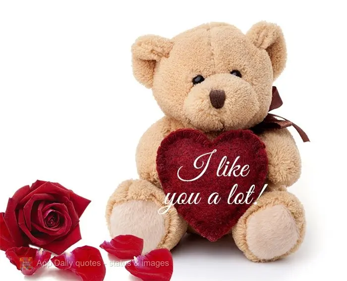 I like you a lot!