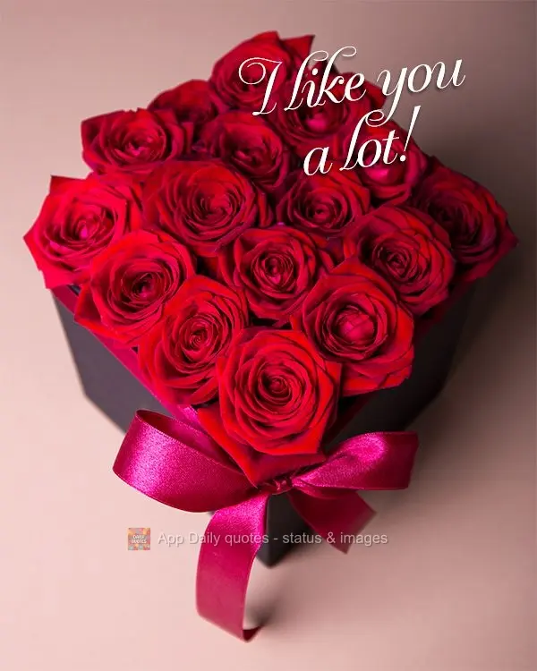 I like you a lot!