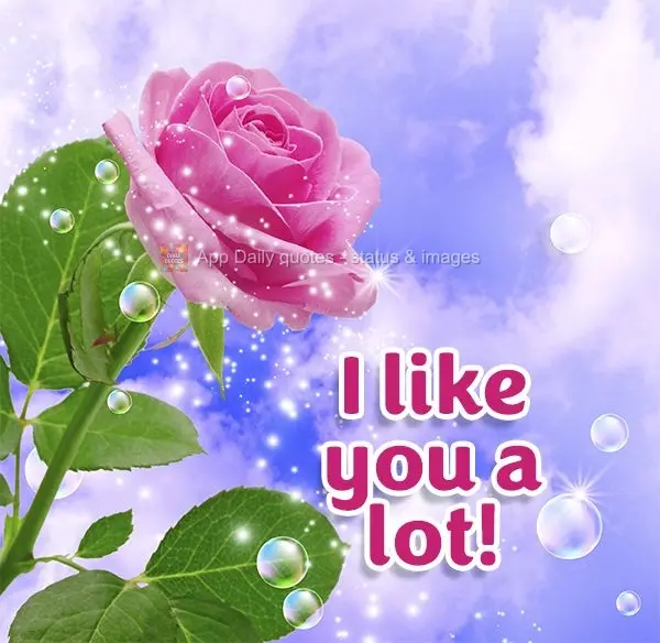 I like you a lot!