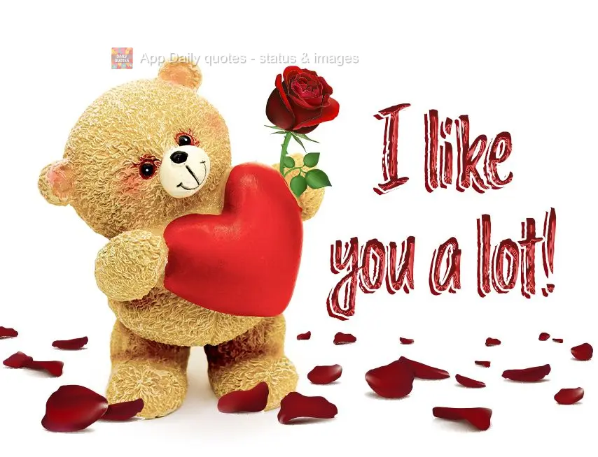 I like you a lot!