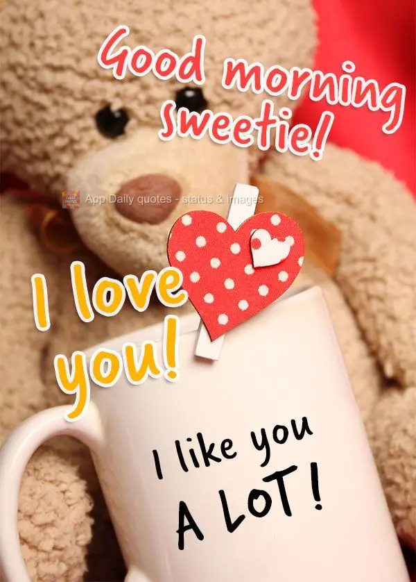 I like you a lot! Good morning sweetie! I love you!
